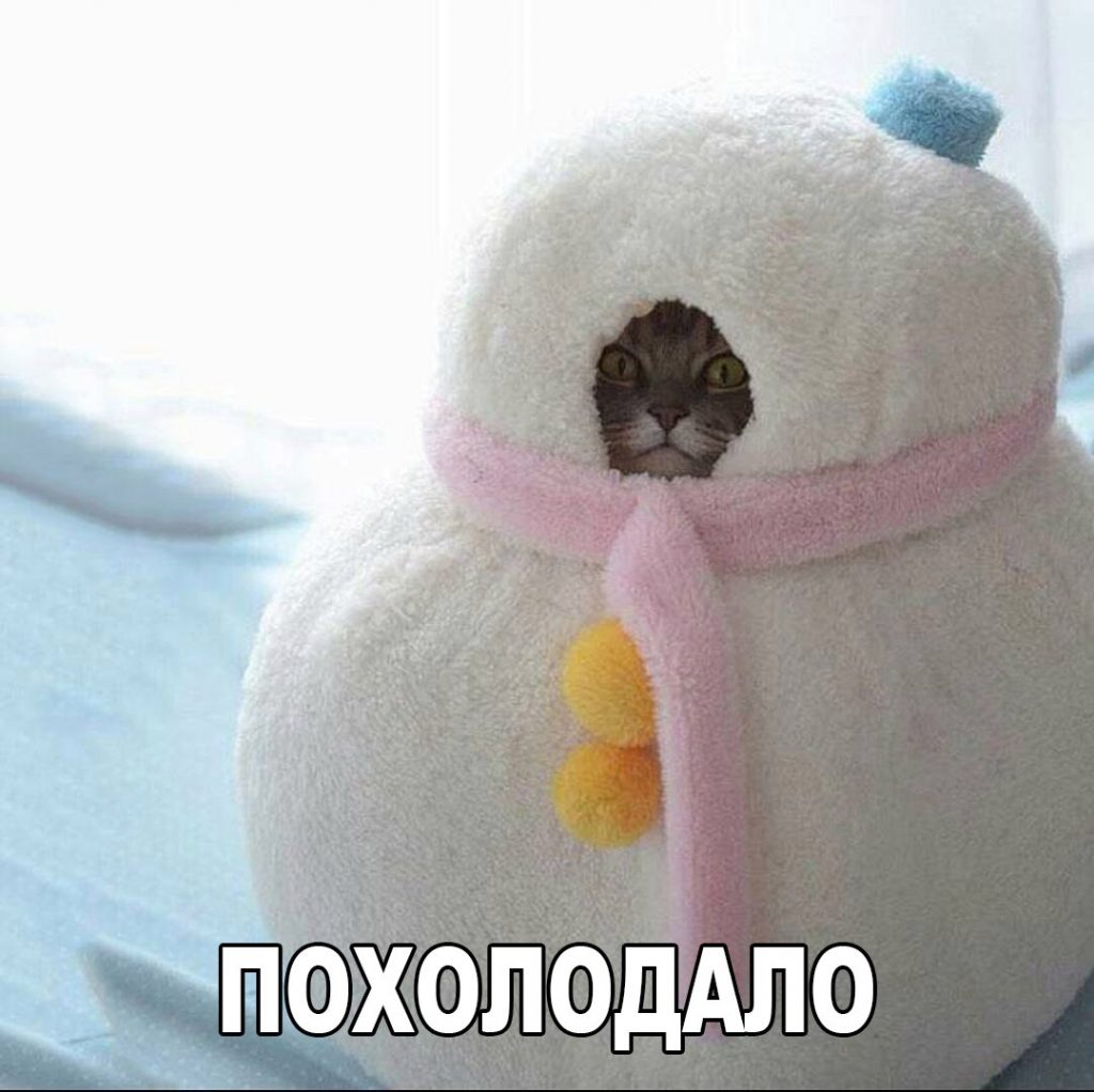 Похолодало картинки прикольные