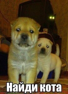 Адский кот