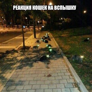 Атакуйте его