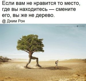 Деревья тоже ходят
