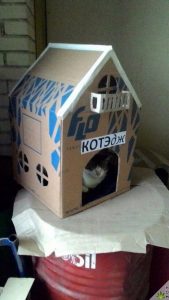 Дом для кота