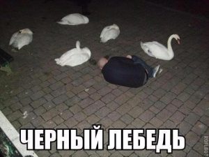 Гадкий утёнок