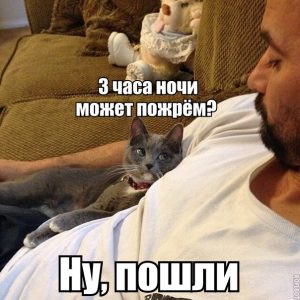 Я и мой кот