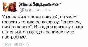 И я засыпаю