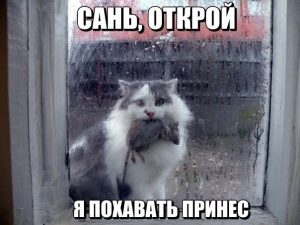 Я научу тебя охотиться