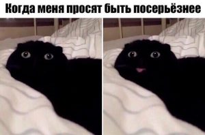 Я сама серьёзность