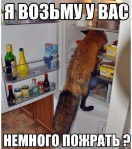Или останусь тут жить