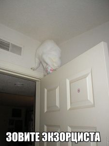 Маскировка