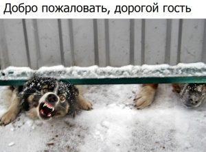 Мы тебя не съедим