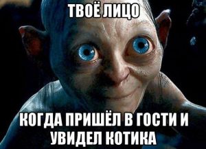 Моя прелесть