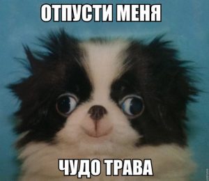 Называется она