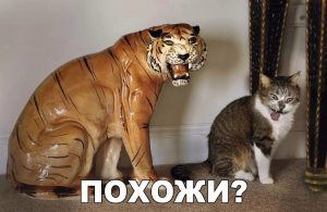 Точь в точь