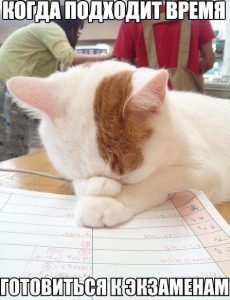 Только не они