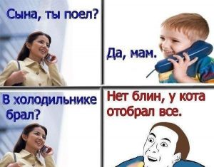 Жалко кота