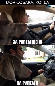 Жена неуверенно водит