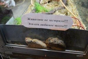 Главное найти себе место