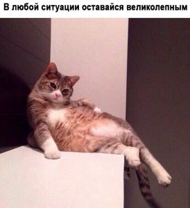 И изяшество