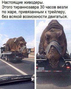 Как же так можно