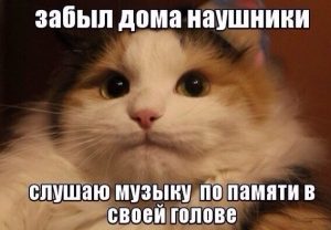 Мозг пока не подводит