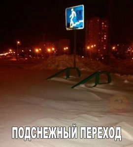 Надо рыть нору
