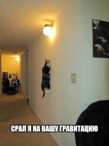 Она не для меня