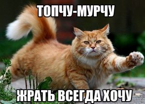 По утрам бужу