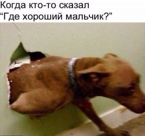 Сдесь