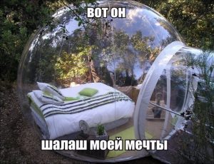 Свой мир