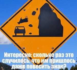 Видемо много
