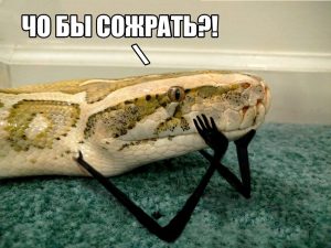 Миниатюра я в ночи