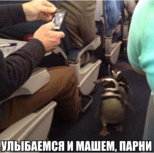 Нас не заметят