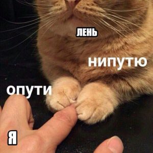 Ну пожалуйста