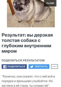 Результат описал мою жизнь