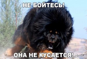 Съедает целиком