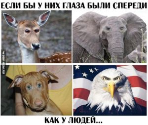 Выглядит странно