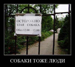 Они тоже отдыхают