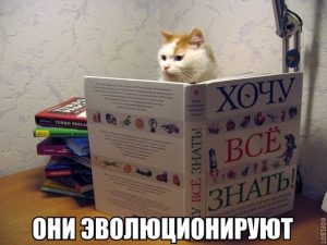 Отобрал книгу у кота теперь прячусь