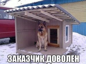 Дом для сабаки