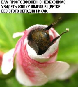 Жить невозможно