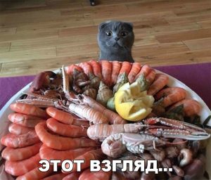 Сколько в них желания