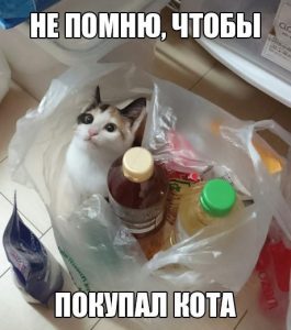 Это же мой кот