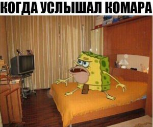 Уже скоро
