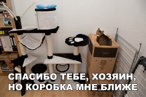 Ближе к дуще