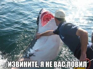 Досвидания