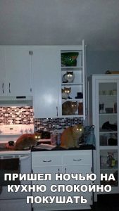 Эта наша кухня