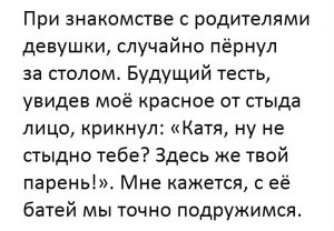 Идеальный троль