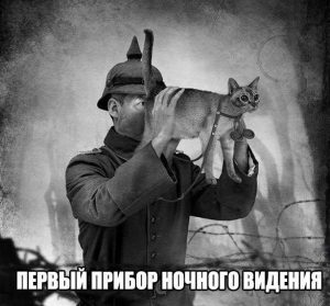 Интересная идея