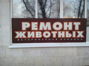 Мне нужно починить кота