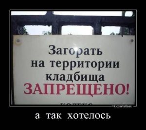 Ну как же без этого