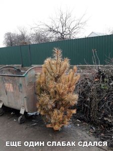 Ну только не в мае